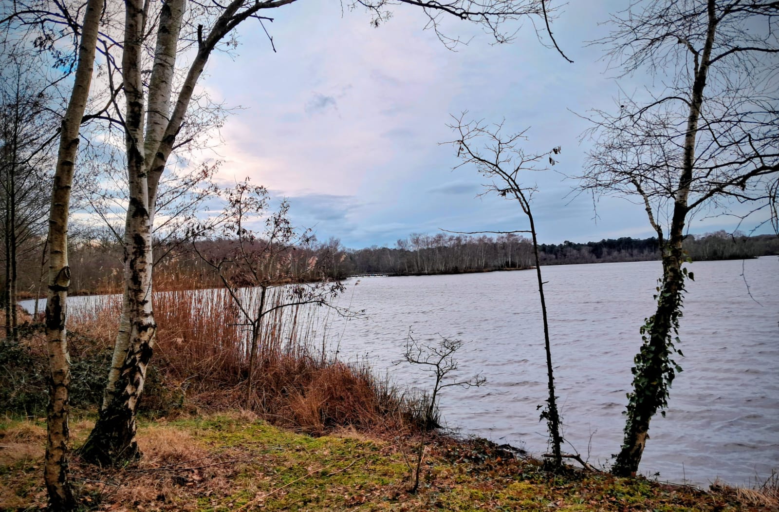 janvier vent treffieux3